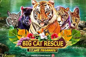 Big Cat Rescue Megaways
